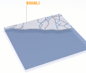 3d view of Bokali