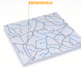 3d view of Barakorodji