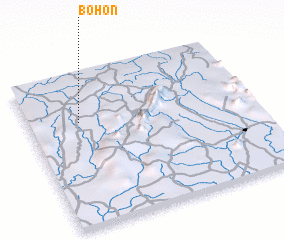 3d view of Bohon