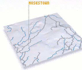 3d view of Moses Town