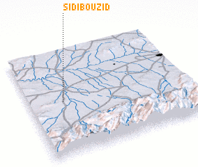 3d view of Sidi Bou Zid