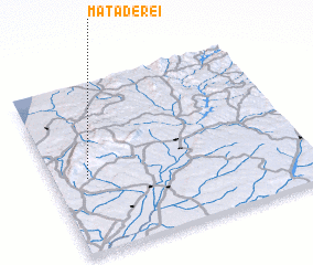 3d view of Mata de Rei