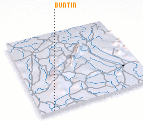 3d view of Buntin