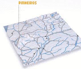 3d view of Pinheiros