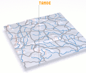 3d view of Tamoé