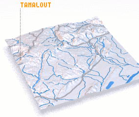 3d view of Tamalout