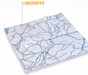 3d view of Lobo Morto