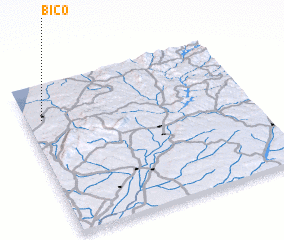 3d view of Bico