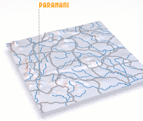 3d view of Paramani