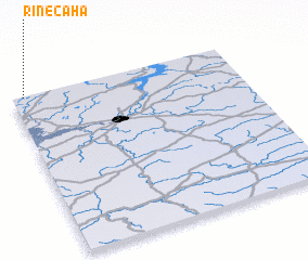 3d view of Rinecaha