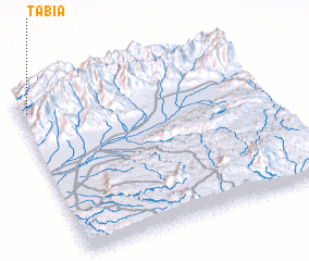 3d view of Tabia