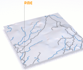 3d view of Pine