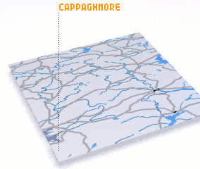 3d view of Cappaghmore