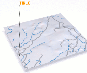 3d view of Tiwle