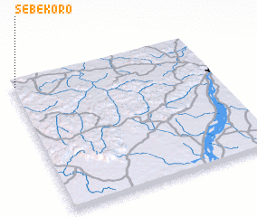 3d view of Sébékoro