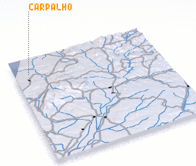 3d view of Carpalho