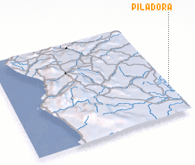 3d view of Piladora
