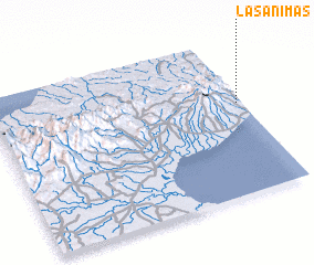 3d view of Las Ánimas