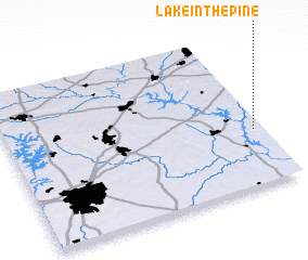 3d view of Lake in the Pine