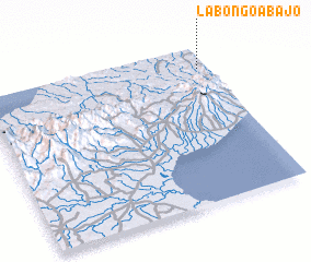 3d view of La Bongo Abajo