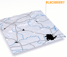 3d view of Blackberry