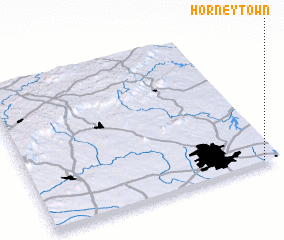 3d view of Horneytown