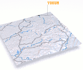 3d view of Yokum