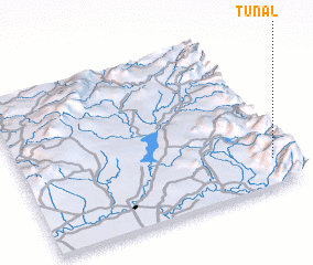 3d view of Tunal