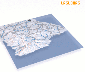 3d view of Las Lomas