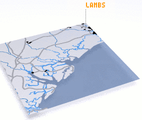 3d view of Lambs