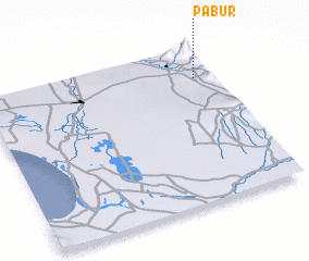 3d view of Pabur
