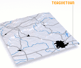 3d view of Teaguetown