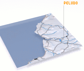 3d view of Peludo