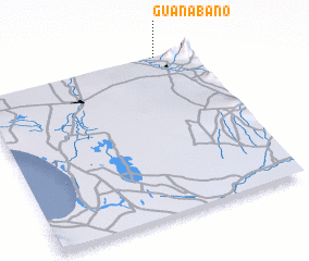 3d view of Guanábano