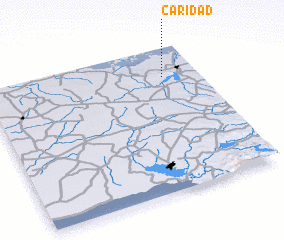 3d view of Caridad