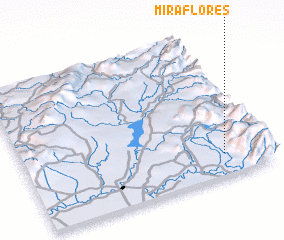 3d view of Miraflores