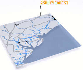 3d view of Ashley Forest