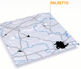 3d view of Palmetto