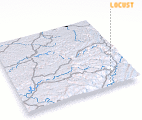 3d view of Locust