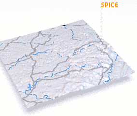 3d view of Spice