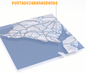 3d view of Punta de Sabana Grande