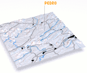 3d view of Pedro