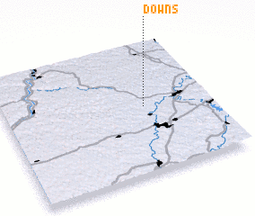 3d view of Downs