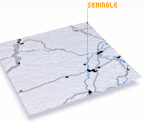 3d view of Seminole