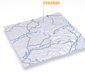 3d view of Freeman