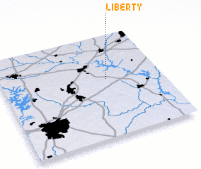 3d view of Liberty