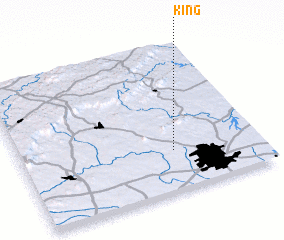 3d view of King