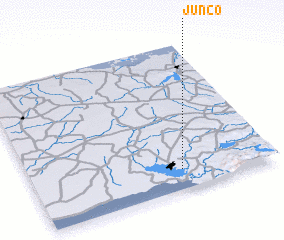 3d view of Junco