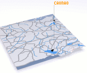 3d view of Caunao
