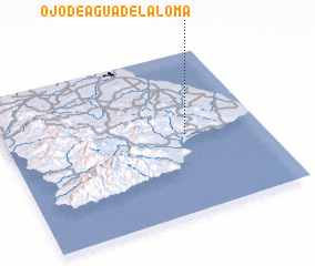 3d view of Ojo de Agua de la Loma